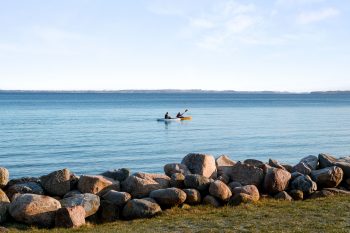 NIVERØDVEJ 12